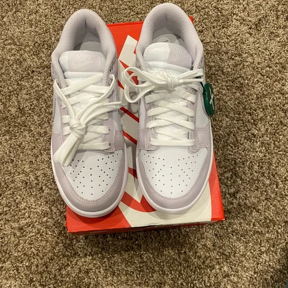 Venice Nike Dunks